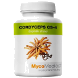 Mycomedica Cordyceps CS-4